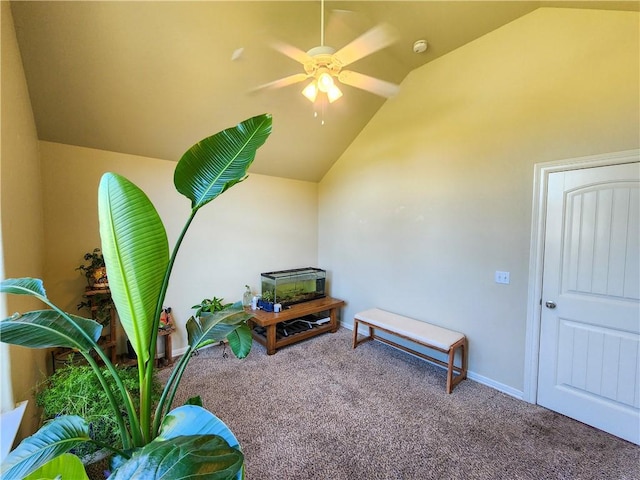 3508 W Lonoke Dr, Fayetteville, AR 72704 - photo 14