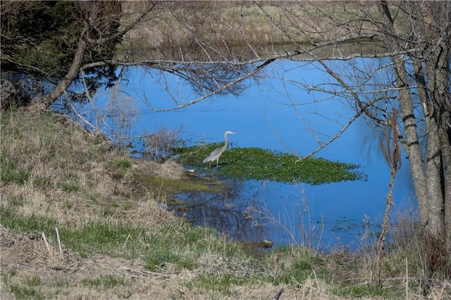 Starr Rd, Fayetteville, AR 72701 - photo 3