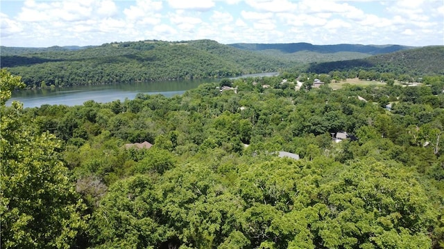 17 Quail Run Dr, Holiday Island, AR 72631 - photo 1