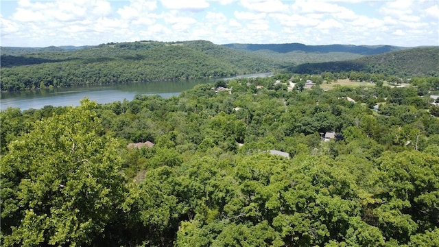 17 Quail Run Dr, Holiday Island, AR 72631 - photo 2