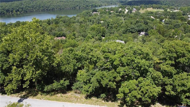 17 Quail Run Dr, Holiday Island, AR 72631 - photo 3