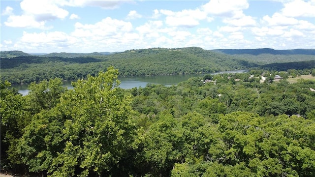 17 Quail Run Dr, Holiday Island, AR 72631 - photo 4