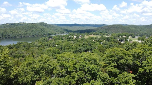 17 Quail Run Dr, Holiday Island, AR 72631 - photo 5
