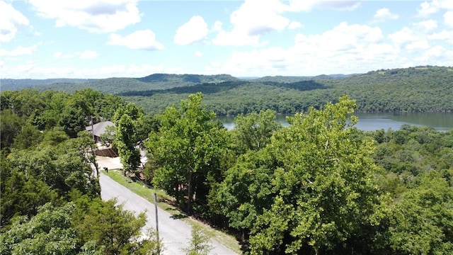 17 Quail Run Dr, Holiday Island, AR 72631 - photo 7
