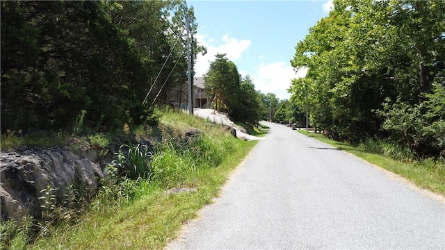 17 Quail Run Dr, Holiday Island, AR 72631 - photo 8