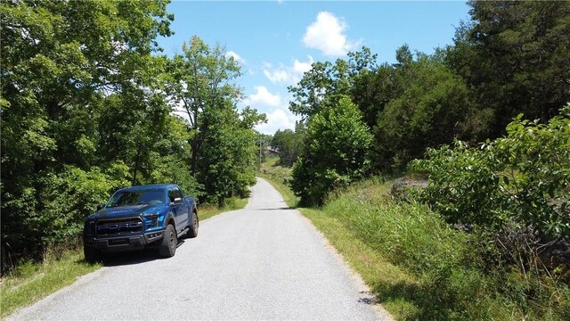 17 Quail Run Dr, Holiday Island, AR 72631 - photo 9