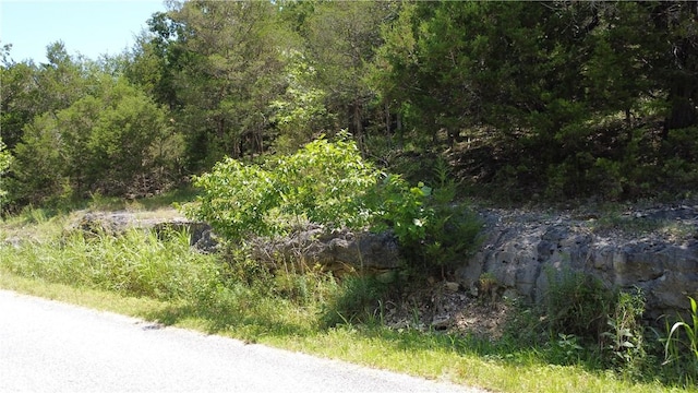 17 Quail Run Dr, Holiday Island, AR 72631 - photo 11