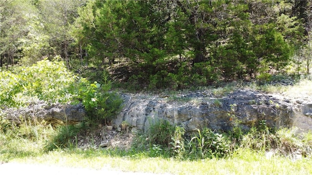 17 Quail Run Dr, Holiday Island, AR 72631 - photo 12