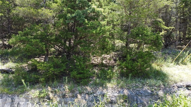 17 Quail Run Dr, Holiday Island, AR 72631 - photo 14