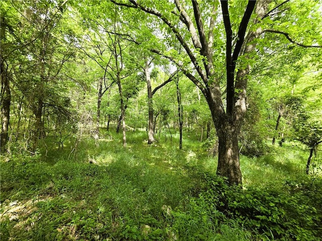 22828 Salem Springs Rd, Lincoln, AR 72744 - photo 12