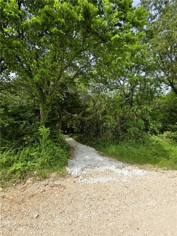 22828 Salem Springs Rd, Lincoln, AR 72744 - photo 13