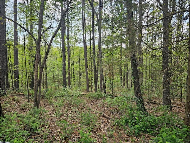 LOT18, BLOCK6 Belvoir Ln, Bella Vista, AR 72715 - photo 1