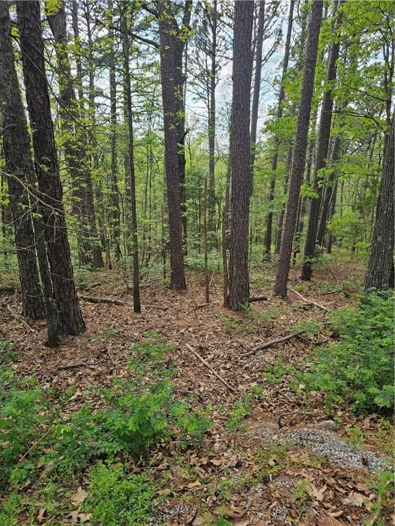 LOT18, BLOCK6 Belvoir Ln, Bella Vista, AR 72715 - photo 2