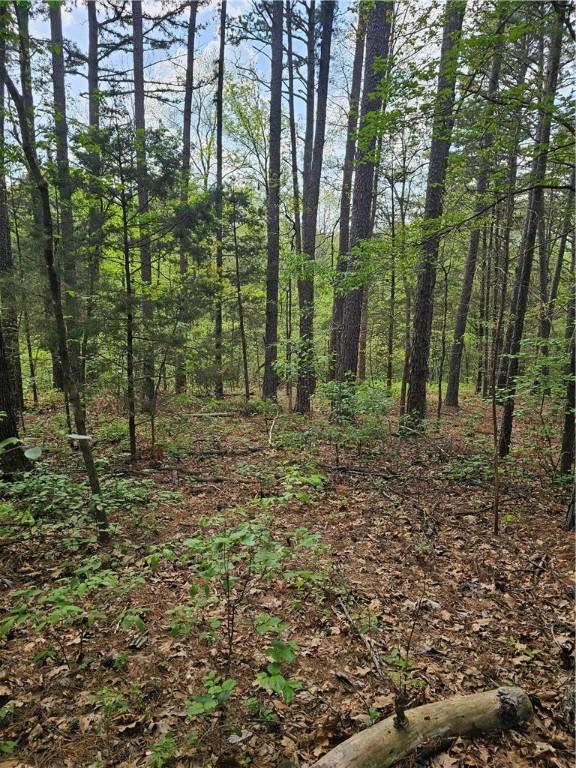 LOT18, BLOCK6 Belvoir Ln, Bella Vista, AR 72715 - photo 3