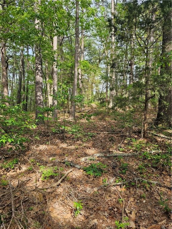 LOT18, BLOCK6 Belvoir Ln, Bella Vista, AR 72715 - photo 4