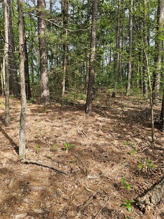 LOT18, BLOCK6 Belvoir Ln, Bella Vista, AR 72715 - photo 6