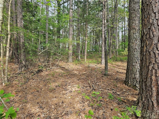 LOT18, BLOCK6 Belvoir Ln, Bella Vista, AR 72715 - photo 7