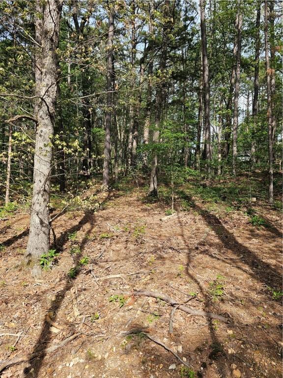 LOT18, BLOCK6 Belvoir Ln, Bella Vista, AR 72715 - photo 8