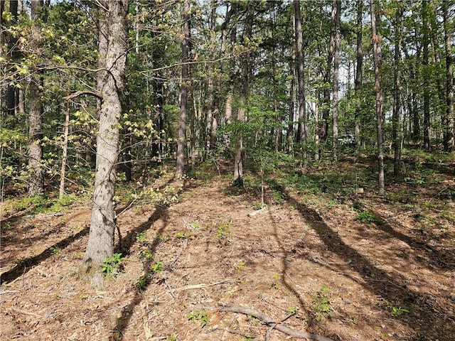 LOT18, BLOCK6 Belvoir Ln, Bella Vista, AR 72715 - photo 9