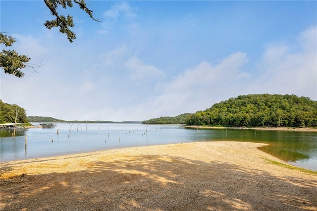 12 Riviera Dr, Rogers, AR 72756 - photo 25