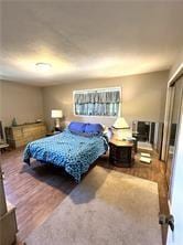 411 Natchez Trace St, Harrison, AR 72601 - bedroom with wood finished floors