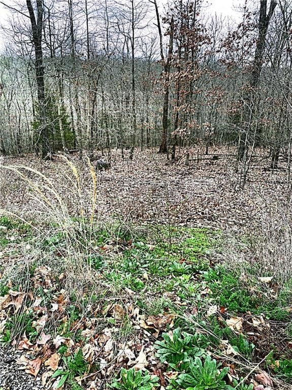 LOT43 Skipton Dr, Bella Vista, AR 72714 - photo 3