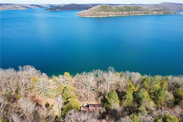 22466 Slate Gap Rd, Garfield, AR 72732 - photo 8