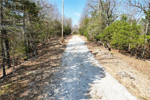 22466 Slate Gap Rd, Garfield, AR 72732 - photo 10