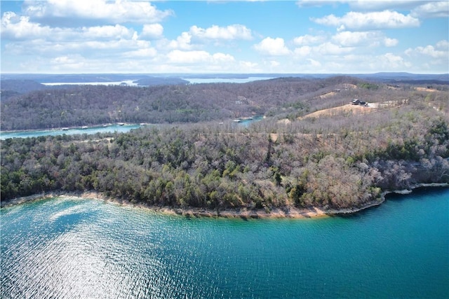 22466 Slate Gap Rd, Garfield, AR 72732 - photo 11