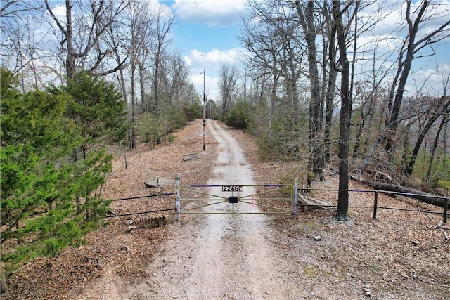 22466 Slate Gap Rd, Garfield, AR 72732 - photo 12