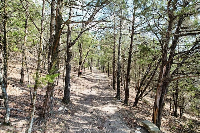 22466 Slate Gap Rd, Garfield, AR 72732 - photo 13