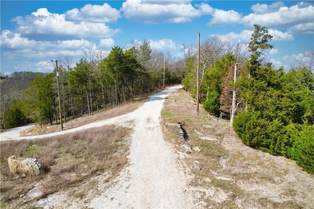 22466 Slate Gap Rd, Garfield, AR 72732 - photo 15
