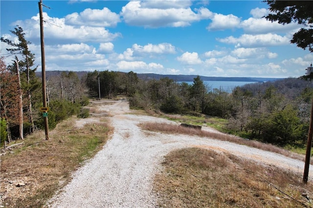 22466 Slate Gap Rd, Garfield, AR 72732 - photo 16