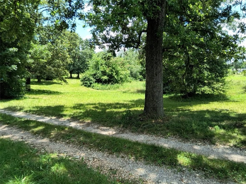 12952 Sharp Springs Rd, Springdale, AR 72745 - photo 1