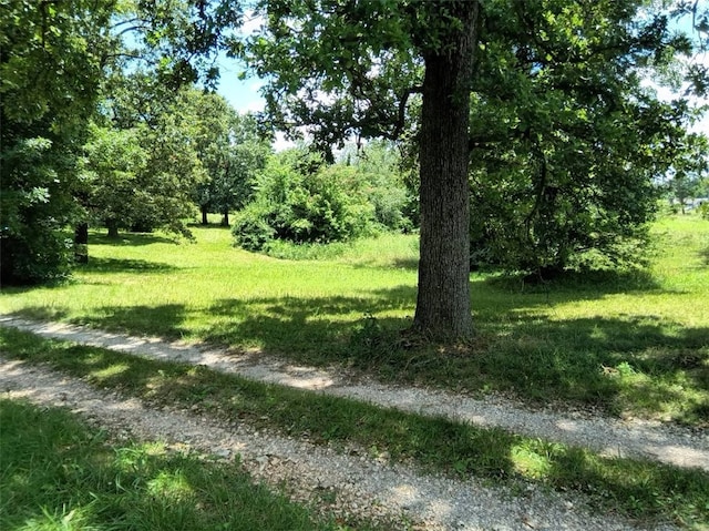 12952 Sharp Springs Rd, Springdale, AR 72745 - photo 1