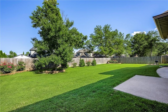 703 Eaton St, Bentonville, AR 72712 - photo 31
