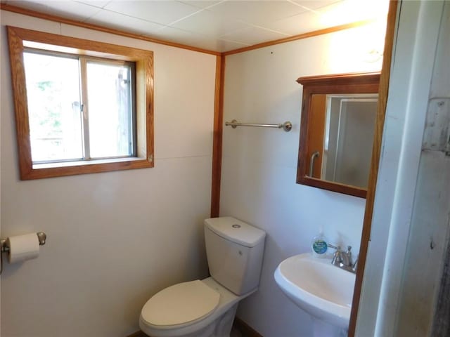 1880 Madison 7884 Rd, Wesley, AR 72773 - photo 15