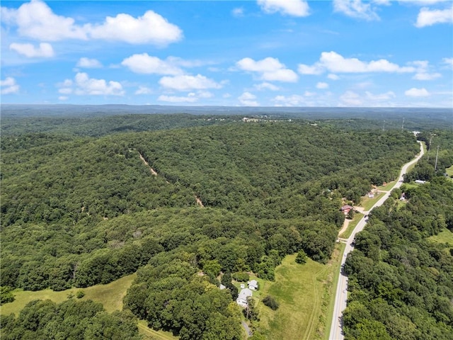 TBD Highway 23 S, Eureka Springs, AR 72632 - photo 19
