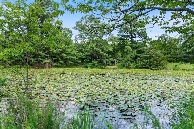 TBD Highway 23 S, Eureka Springs, AR 72632 - photo 20