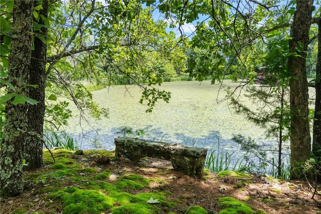 TBD Highway 23 S, Eureka Springs, AR 72632 - photo 22