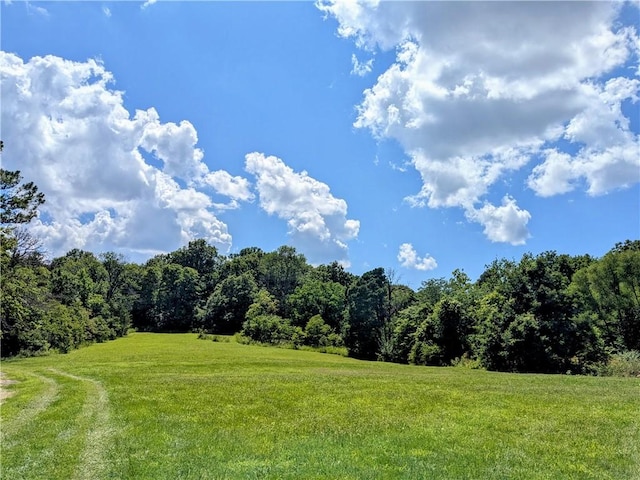 TBD Highway 23 S, Eureka Springs, AR 72632 - photo 23