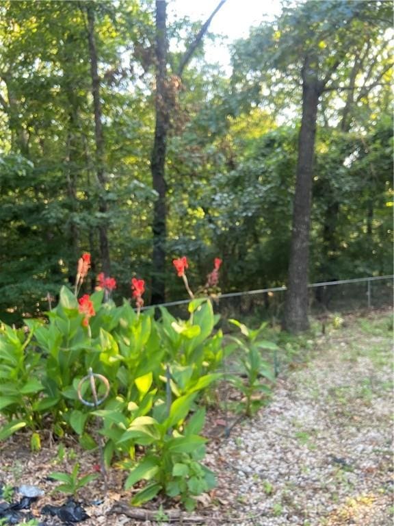 28 Clevedon Cir, Bella Vista, AR 72715 - photo 39
