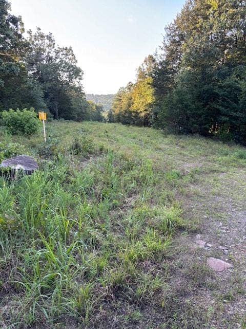 8517 Wildwood Trl, Altus, AR 72821 - photo 3