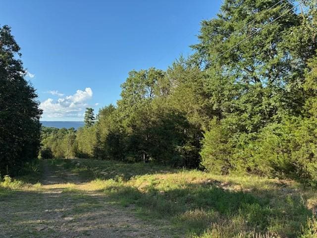 8517 Wildwood Trl, Altus, AR 72821 - photo 5