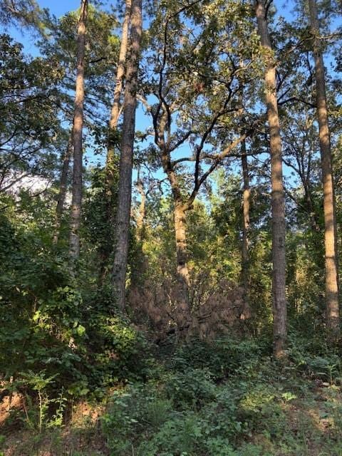 8517 Wildwood Trl, Altus, AR 72821 - photo 7