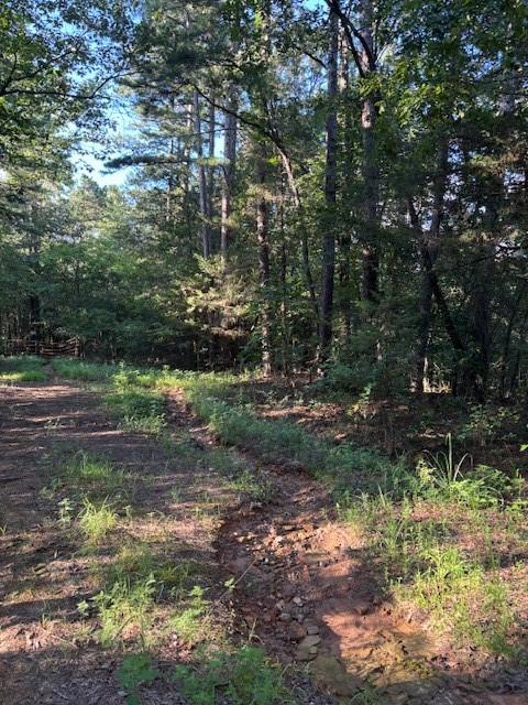 8517 Wildwood Trl, Altus, AR 72821 - photo 8