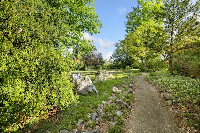 12158 E 62nd Hwy, Harrison, AR 72601 - view of yard