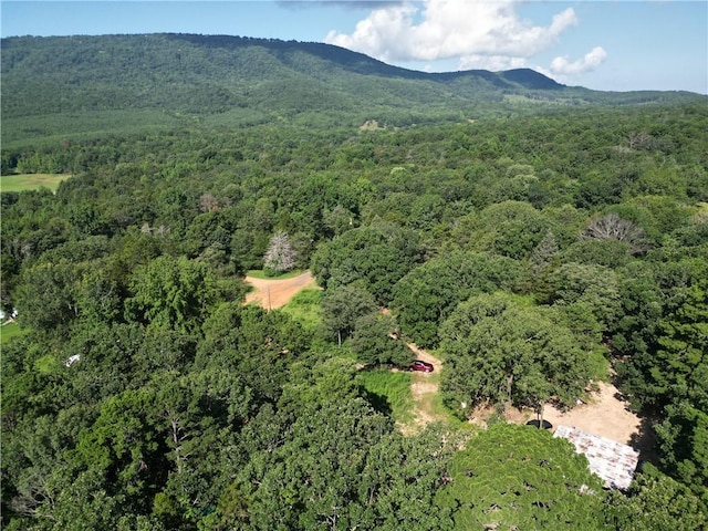 10301 Haney Hollow Rd, Dardanelle, AR 72834 - photo 1