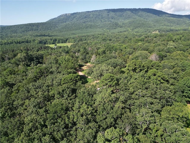10301 Haney Hollow Rd, Dardanelle, AR 72834 - photo 2