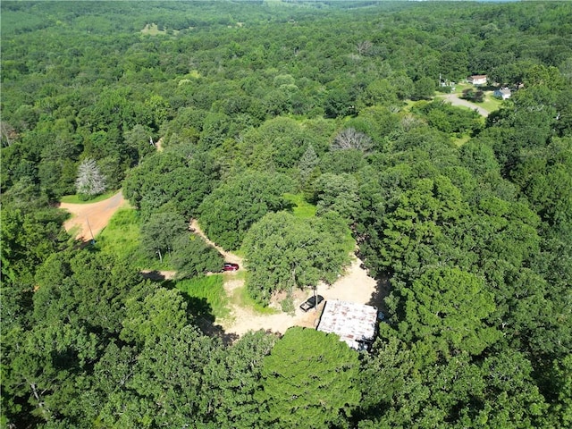 10301 Haney Hollow Rd, Dardanelle, AR 72834 - photo 5